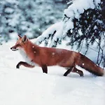 Gerlinde Apartamento *