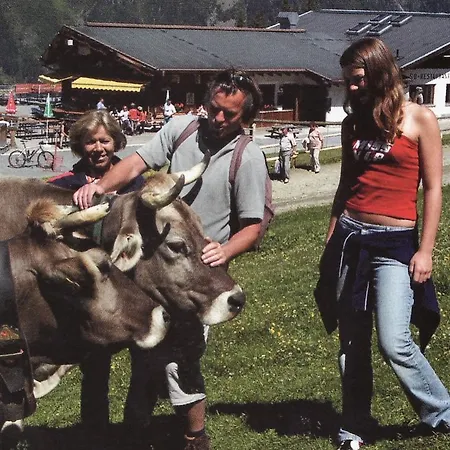 Apart Gerlinde Apartment