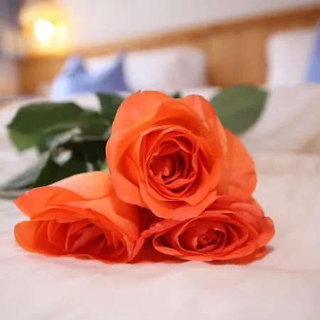 Apart Gerlinde Apartment