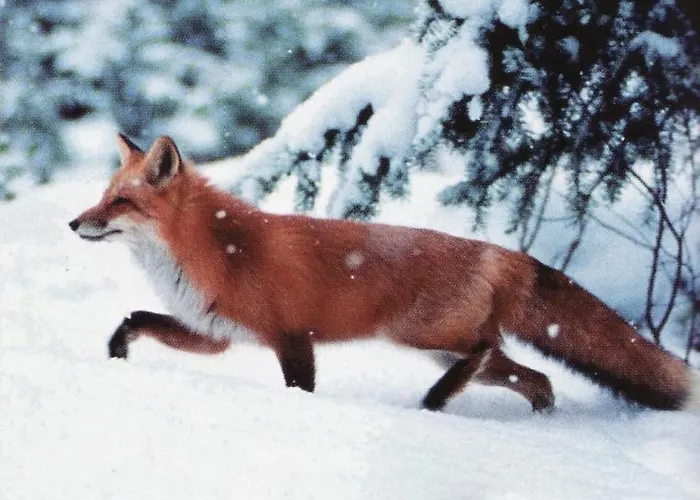 Gerlinde アパート *